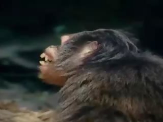 Tarzan-x schande von jane - teil 1, kostenlos x nenn video 88
